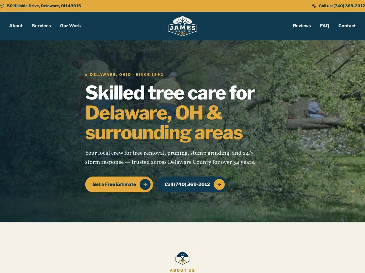 Concept homepage we designed for James Tree Service