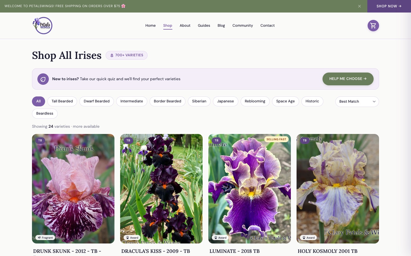 New PetalsWings shop