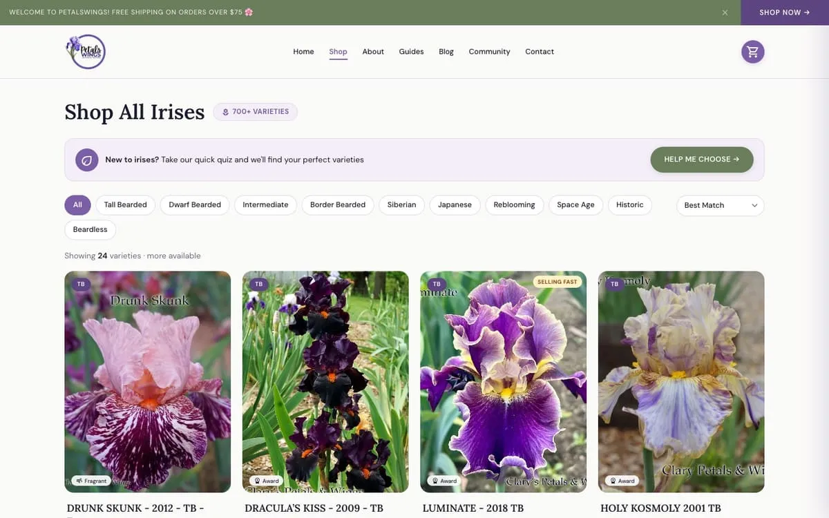 New PetalsWings shop