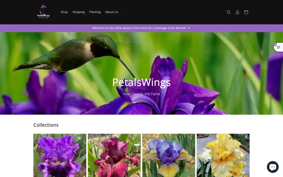Old PetalsWings Shopify site